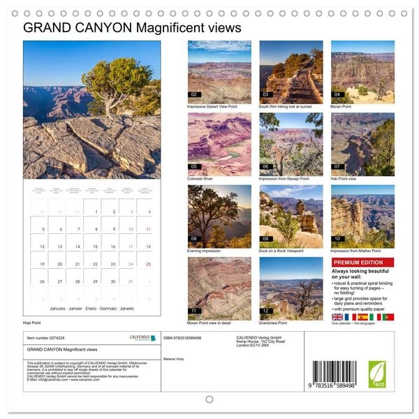 Produktbild: GRAND CANYON Magnificent views (Wall Calendar 2026 12 &times; 12 Inch) CALVENDO 12 Month Wall Calendar