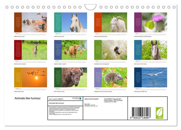Produktbild: Animals like humour (Wall Calendar 2026 DIN A4 landscape), CALVENDO 12 Month Wall Calendar