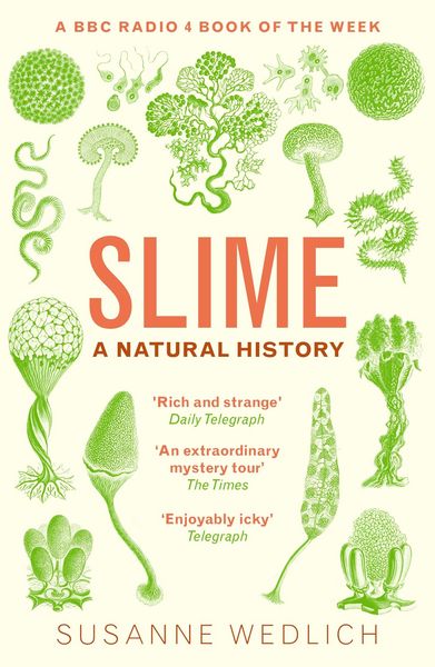 Produktbild: Slime