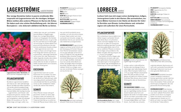 Produktbild: Gr&uuml;nes Gartenwissen. Pflanzen richtig schneiden
