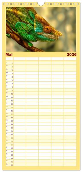 Produktbild: Familienplaner 2026 - Tierisch tolles Madagaskar - Cham&auml;leons, Lemuren und mehr mit 5 Spalten (Wandkalender, 21 x 45 cm) CALVENDO