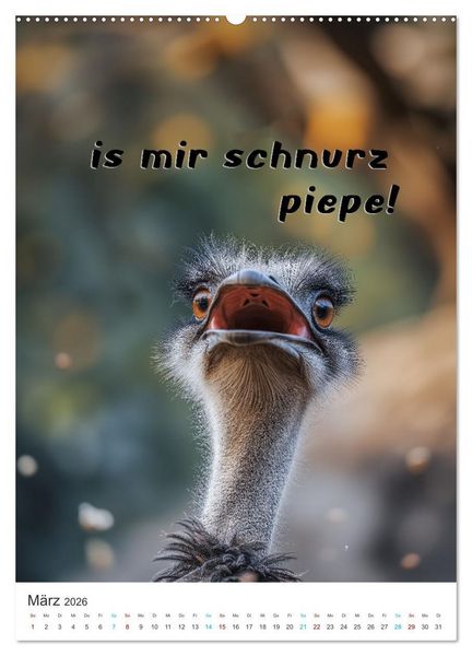 Produktbild: Lustige Tiere (hochwertiger Premium Wandkalender 2026 DIN A2 hoch), Kunstdruck in Hochglanz
