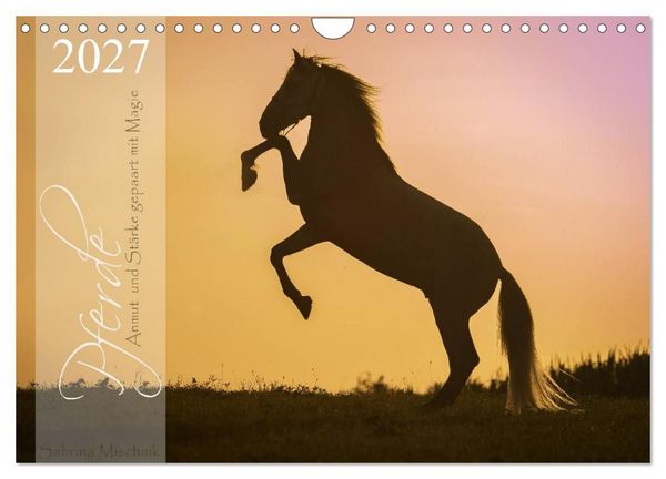 Produktbild: Pferde - Anmut und St&auml;rke gepaart mit Magie (Wandkalender 2027 DIN A4 quer), CALVENDO Monatskalender