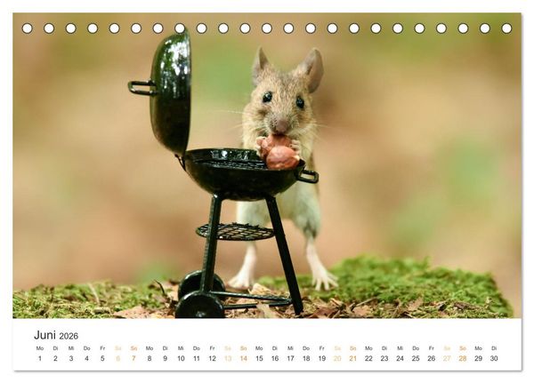 Produktbild: Geheimes Waldleben (Tischkalender 2026 DIN A5 quer), CALVENDO Monatskalender