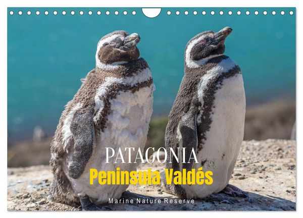 Patagonia, Peninsula Valdés - Marine Nature Reserve (Wall Calendar 2026 DIN A4 landscape), CALVENDO 12 Month Wall Calendar