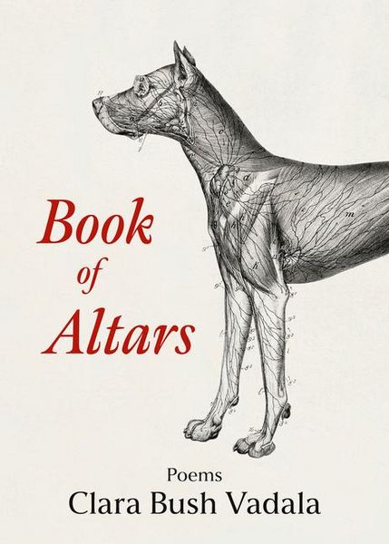 Produktbild: Book of Altars