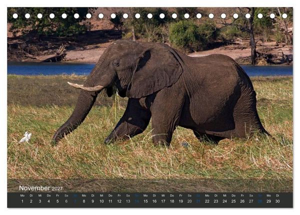 Produktbild: Elefanten (Tischkalender 2027 DIN A5 quer), CALVENDO Monatskalender