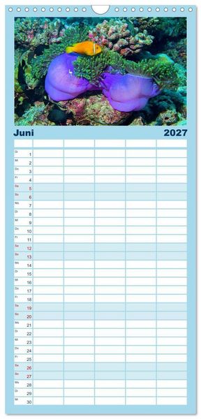 Produktbild: Familienplaner 2027 - Abenteuer Riff - bunte Unterwasserwelt mit 5 Spalten (Wandkalender, 21 x 45 cm) CALVENDO