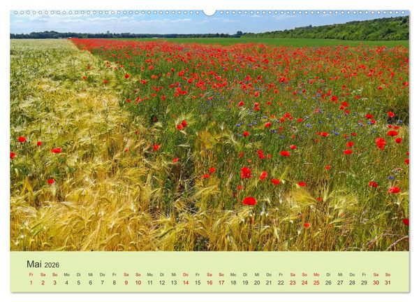 Produktbild: Wilde Blumen - ein Spaziergang durch die Natur (Wandkalender 2026 DIN A2 quer), CALVENDO Monatskalender