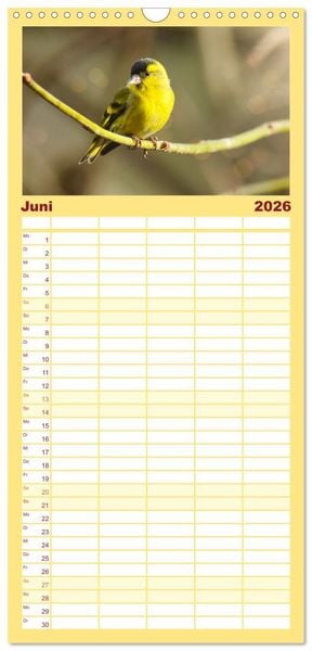 Produktbild: Familienplaner 2026 - Erlenzeisige mit 5 Spalten (Wandkalender, 21 x 45 cm) CALVENDO