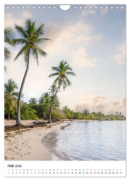 Produktbild: Guadeloupe - Un r&ecirc;ve carib&eacute;en (Calendrier mural 2026 DIN A4 horizontal), CALVENDO calendrier mensuel