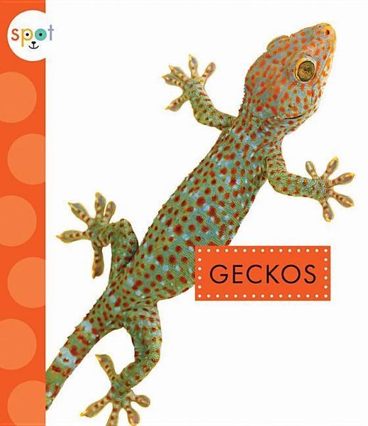 Produktbild: Geckos