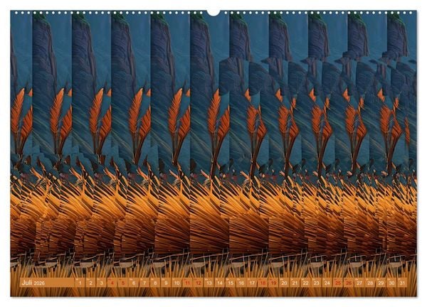 Produktbild: Magische Bilder - fantastische Stereogramme (hochwertiger Premium Wandkalender 2026 DIN A2 quer), Kunstdruck in Hochglanz