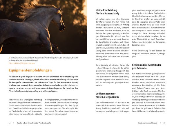 Produktbild: Pferde stilvoll fotografieren