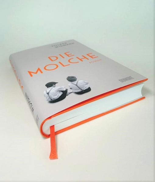 Produktbild: Die Molche