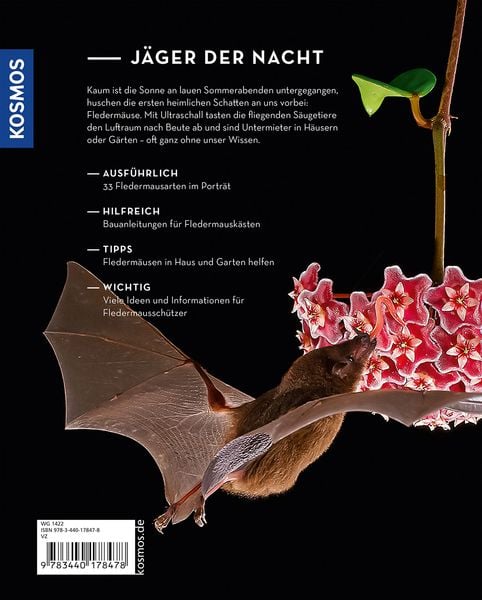 Produktbild: Flederm&auml;use