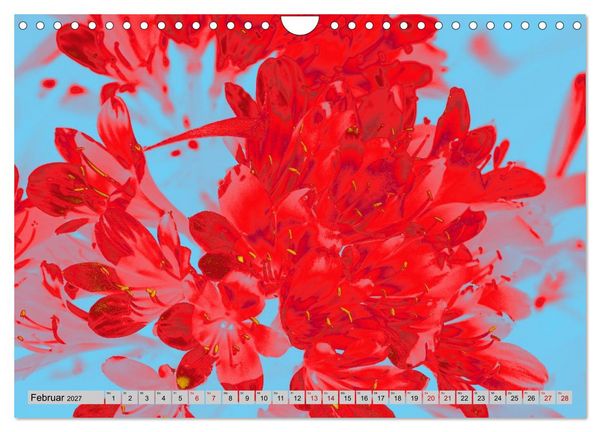 Produktbild: Blumen Pop-Art (Wandkalender 2027 DIN A4 quer), CALVENDO Monatskalender