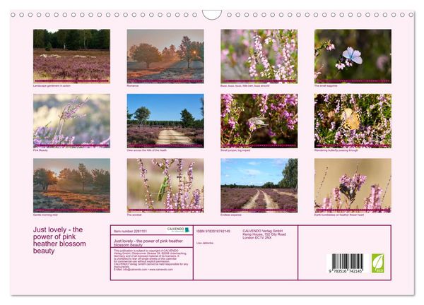 Produktbild: Just lovely - the power of pink heather blossom beauty (Wall Calendar 2026 DIN A3 landscape), CALVENDO 12 Month Wall Calendar