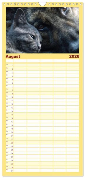 Produktbild: Familienplaner 2026 - Hund und Katze - Tierische Freunde mit 5 Spalten (Wandkalender, 21 x 45 cm) CALVENDO