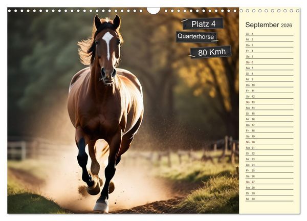 Produktbild: Wer rennt am schnellsten? (Wandkalender 2026 DIN A3 quer), CALVENDO Monatskalender