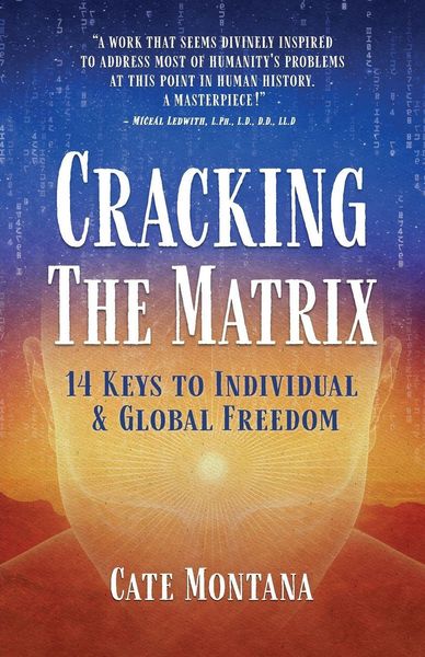Produktbild: Cracking the Matrix