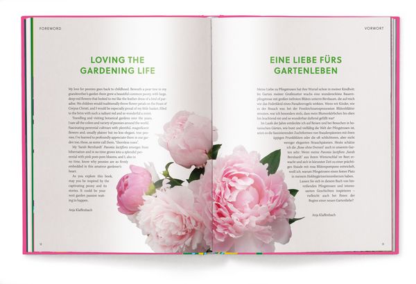 Produktbild: Floramour: Pfingstrosen