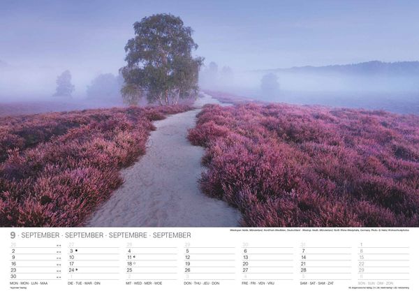 Malerische Wege 2024 - Wand-Kalender - 42x29,7 - Natur