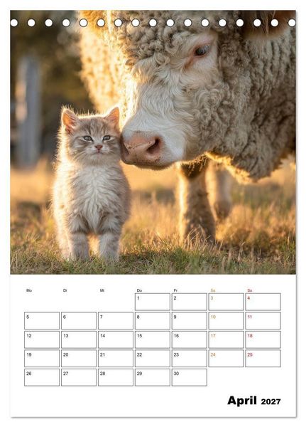 Produktbild: Ein Herz und eine Schnauze - Ein tierisch buntes Miteinander (Tischkalender 2027 DIN A5 hoch), CALVENDO Monatskalender