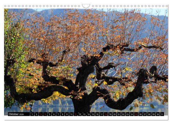Produktbild: Liebeserkl&auml;rung an Zell am See (Wandkalender 2026 DIN A3 quer), CALVENDO Monatskalender