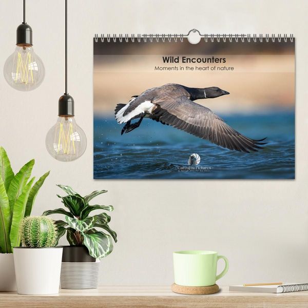 Produktbild: Wild encounters &ndash; Moments in the heart of nature (Wall Calendar 2027 DIN A4 landscape), CALVENDO 12 Month Wall Calendar