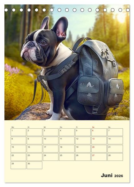 Produktbild: Lustige Flederm&auml;use. Franz&ouml;sische Bulldoggen bei der Freizeitgestaltung (Tischkalender 2026 DIN A5 hoch), CALVENDO Monatskalender