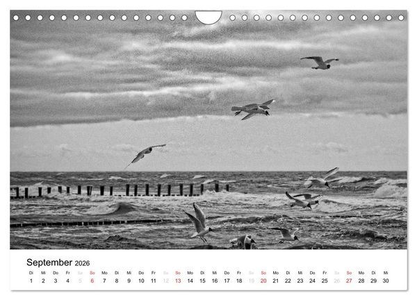Produktbild: Ostseebad Zingst - Impressionen in Schwarz-Wei&szlig; (Wandkalender 2026 DIN A4 quer), CALVENDO Monatskalender