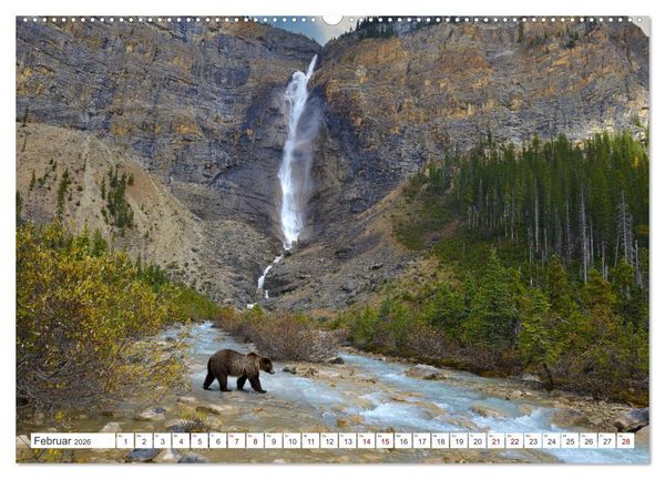 Produktbild: KANADA - Die B&auml;ren der Rocky Mountains (hochwertiger Premium Wandkalender 2026 DIN A2 quer), Kunstdruck in Hochglanz