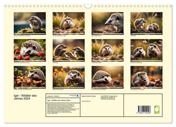 Produktbild: Igel - Wildtier des Jahres 2024 (Wandkalender 2026 DIN A3 quer), CALVENDO Monatskalender