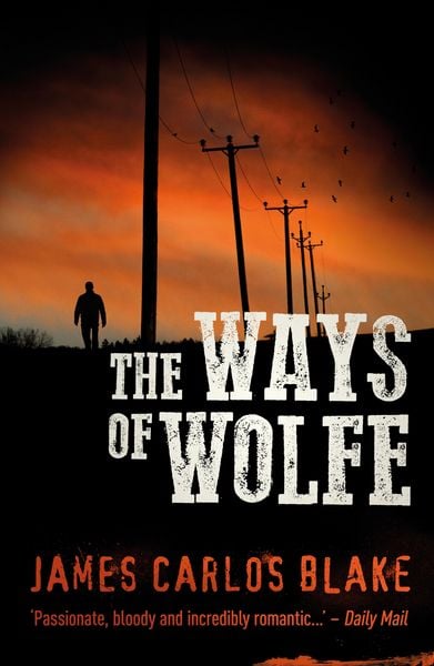 Produktbild: The Ways of Wolfe