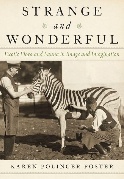 Produktbild: Strange and Wonderful