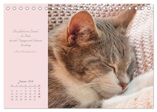 Produktbild: H&auml;ng einfach mal ab (Tischkalender 2026 DIN A5 quer), CALVENDO Monatskalender