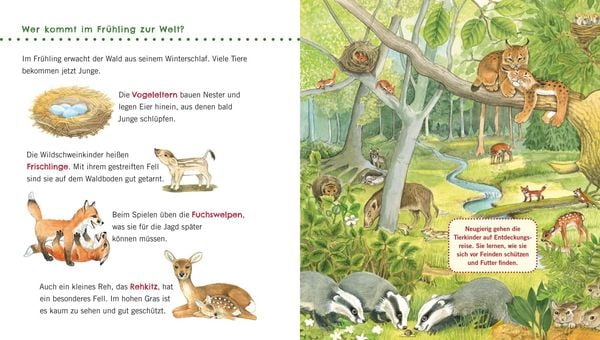 Produktbild: Unkaputtbar: Erstes Wissen: Im Wald
