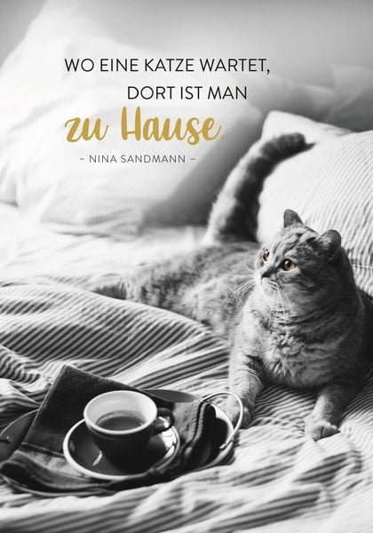 Produktbild: Buchkalender 2027: F&uuml;r Katzenfreunde