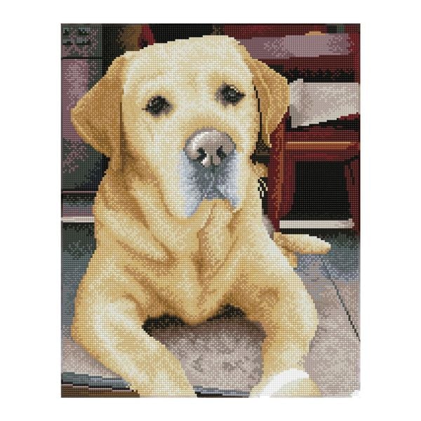 Produktbild: DIAMOND DOTZ - Diamond Painting Labrador