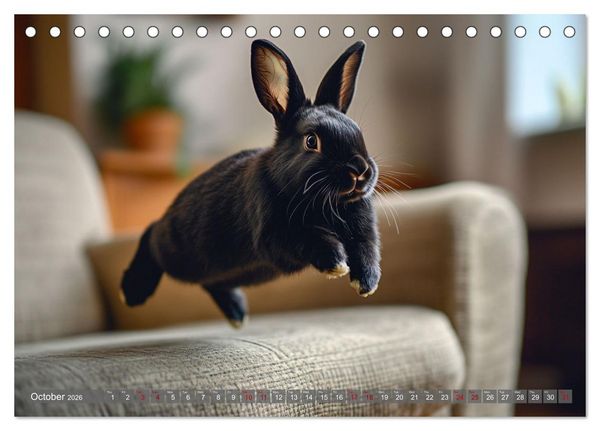 Produktbild: A Cuddly Rabbit Life (Desk Calendar 2026 DIN A5 landscape), CALVENDO 12 Month DeskCalendar