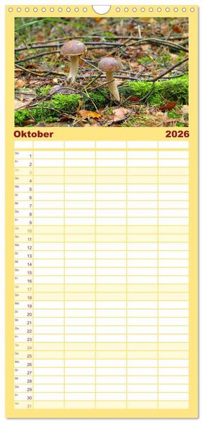 Produktbild: Familienplaner 2026 - Heimische Pilze mit 5 Spalten (Wandkalender, 21 x 45 cm) CALVENDO