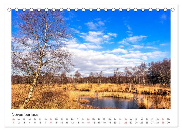 Produktbild: OSTFRIESLAND Strand und Mee(h)r (Tischkalender 2026 DIN A5 quer), CALVENDO Monatskalender