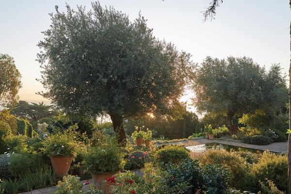 Produktbild: Glorious Gardens