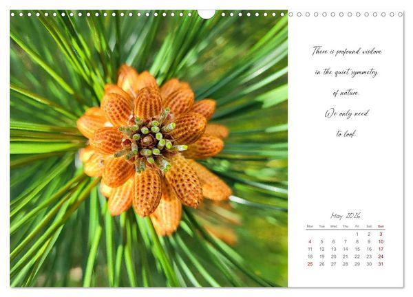 Produktbild: Golden breaks with mindfulness (Wall Calendar 2026 DIN A3 landscape), CALVENDO 12 Month Wall Calendar