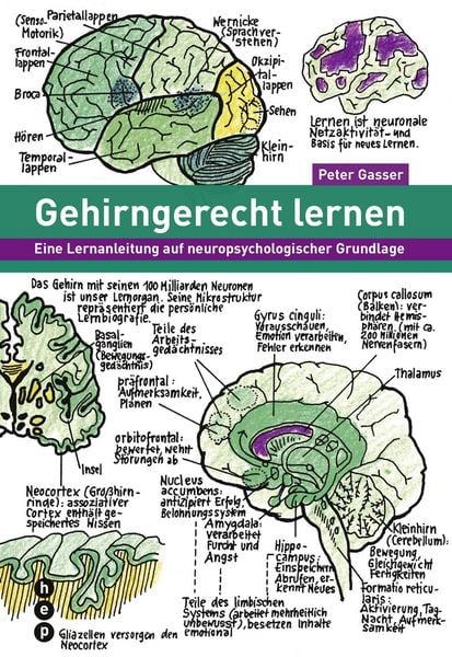 Produktbild: Gehirngerecht lernen (E-Book)