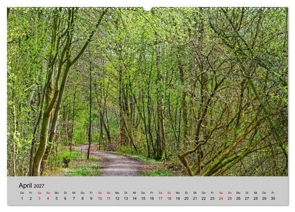 Produktbild: Biosph&auml;renreservat Schaalsee (Wandkalender 2027 DIN A2 quer), CALVENDO Monatskalender