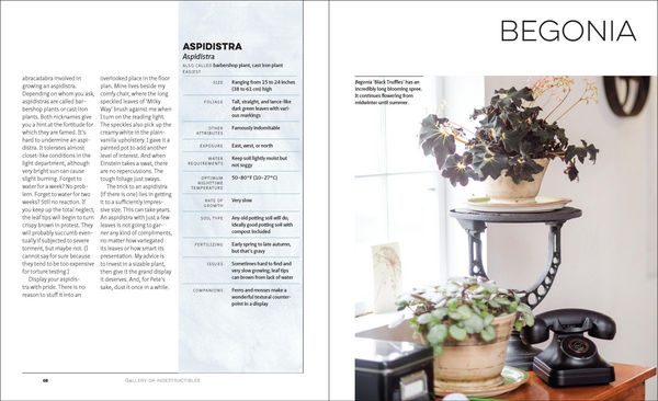 Produktbild: The Unexpected Houseplant