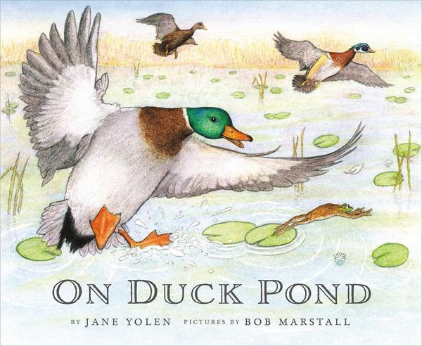 Produktbild: On Duck Pond