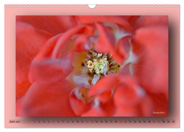 Produktbild: Foto-Art-Natur (Wandkalender 2027 DIN A3 quer), CALVENDO Monatskalender